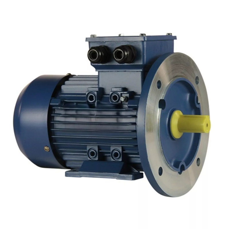 Электродвигатель 5АИ 90 L2 FT115 3/3000 IM 2181 01.01.221508, Китай в Иваново