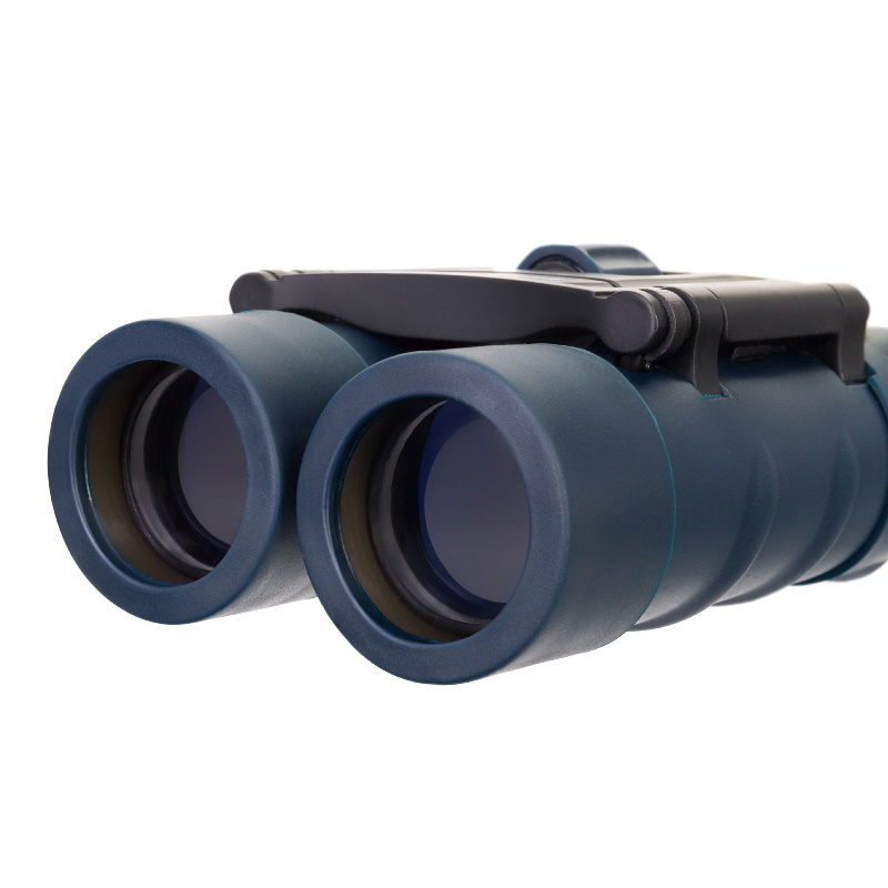 Бинокль Levenhuk Discovery Gator 77909, 10x25 в Ярославле