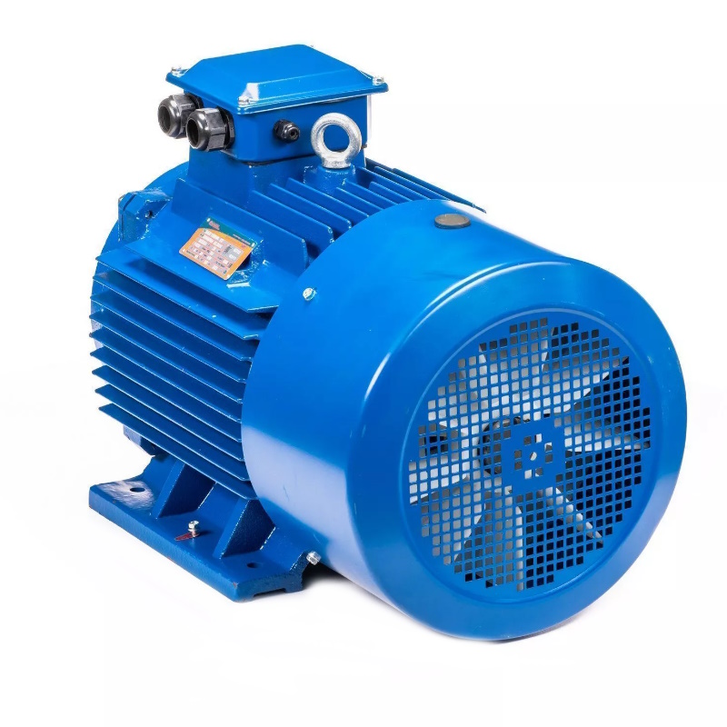 Электродвигатель 5АИ 250 М8 IM 1001 45/750 01.01.213762, Китай в Александрове