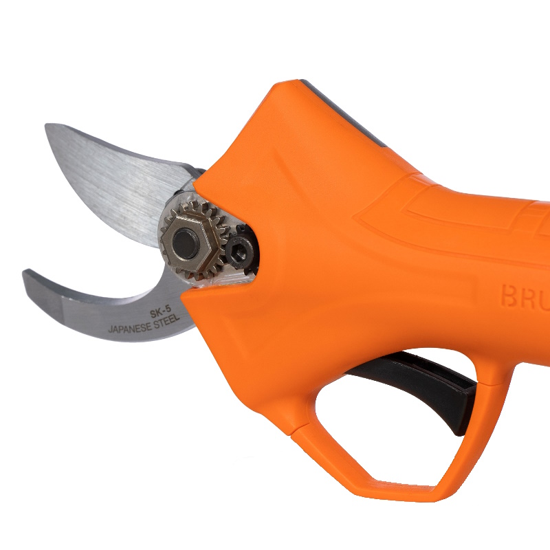 Секатор аккумуляторный Daewoo DAGP 2516Li SET