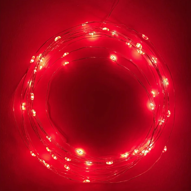 Гирлянда светодиодная Эра "Нить" Б0047963 565047, 5 м, 50 LED, красный свет в Костроме
