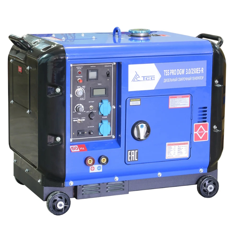 Сварочный генератор TSS PRO DGW 3.0/250ES-R, 22834 в Череповце