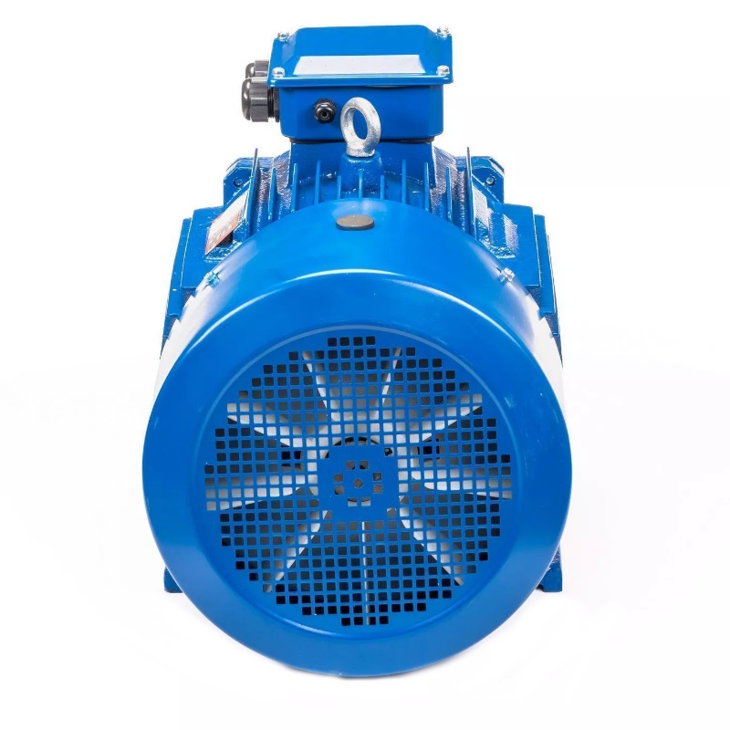 Электродвигатель 5АИ 200 L6 IM 1001 30/1000 01.01.213649, Китай в Переславле
