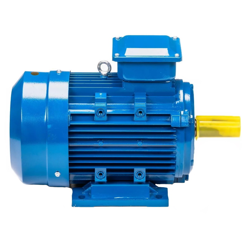 Электродвигатель 5АИ 100 L6 IM 1081 2.2/1000 01.01.213619, Китай в Александрове