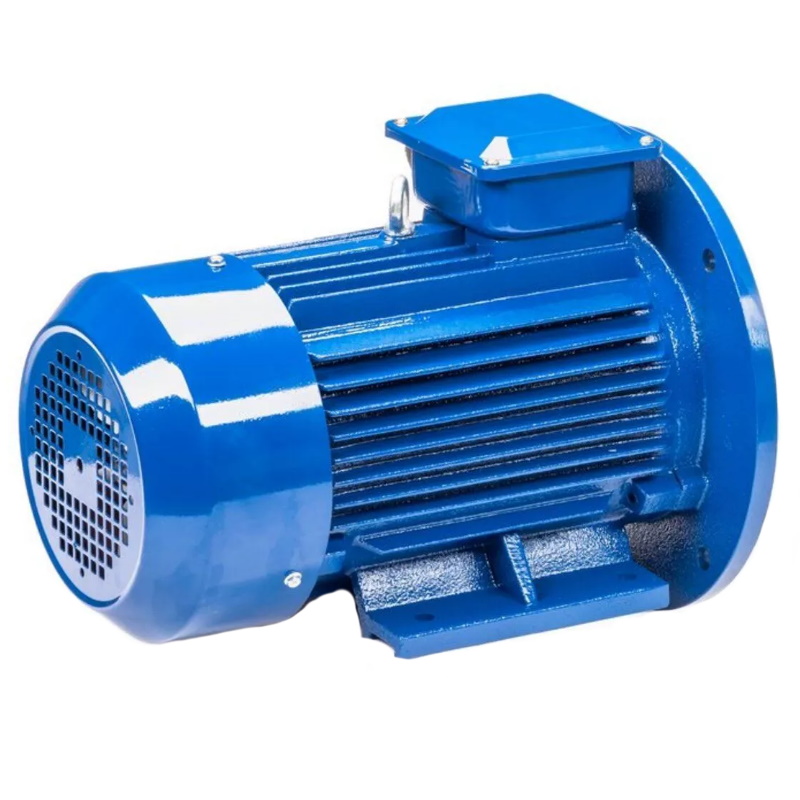 Электродвигатель 5АИ 100 L2 IM 2081 5.5/3000 01.01.213678 Китай