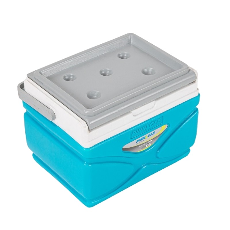 Термобокс Pinnacle Prudence 4,5 L TPX-8002 в Костроме