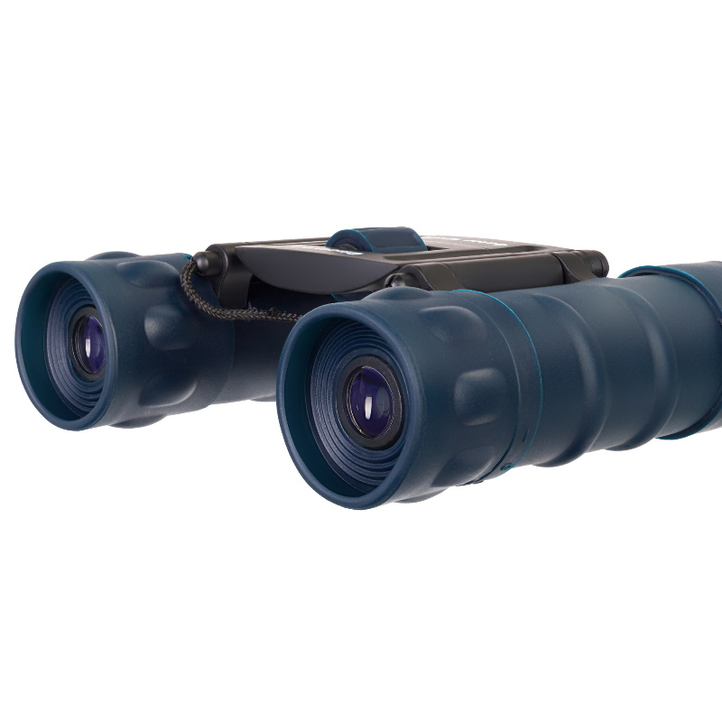 Бинокль Levenhuk Discovery Gator 77909, 10x25 в Ярославле
