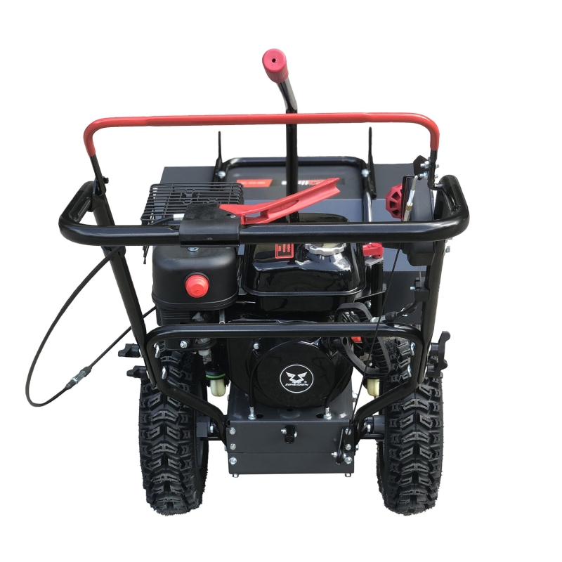 Подметальная машина бензиновая EVOline SWG 620-160 SWG620-160 в Угличе