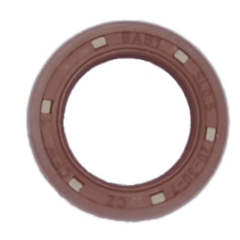 Сальник Piusi R08772000, для насосов E80/120 / Viscomat70/90