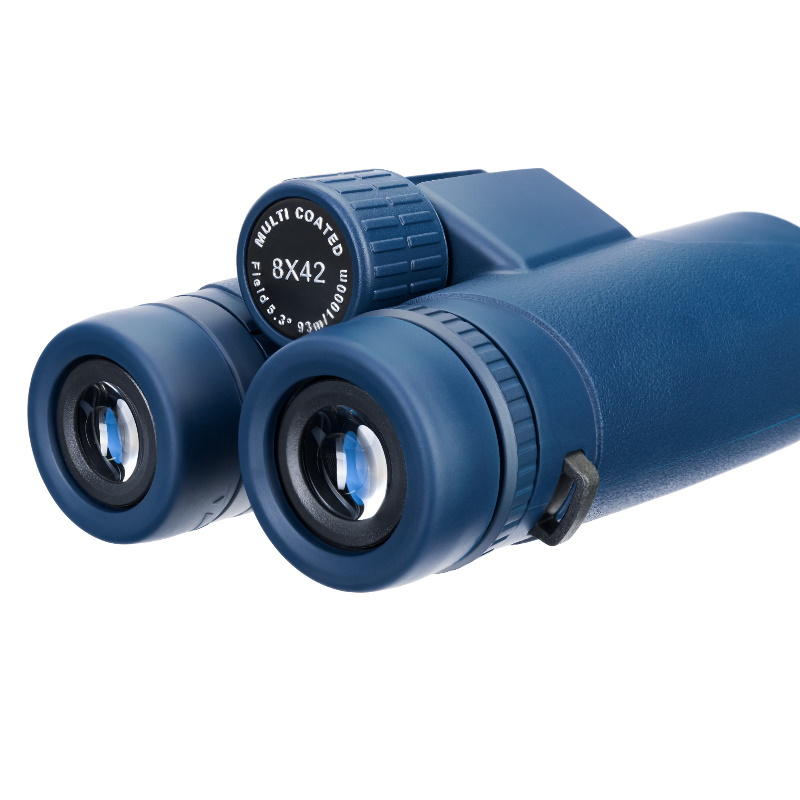 Бинокль Levenhuk Discovery Elbrus 79579, 8x42 в Кинешме