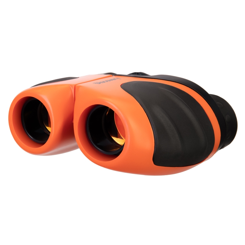 Бинокль Levenhuk Discovery Basics BBС 79655, 8x21