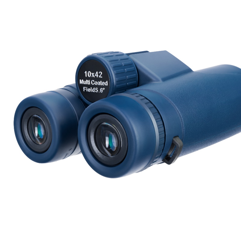 Бинокль Levenhuk Discovery Elbrus 79581, 10x42 в Туле