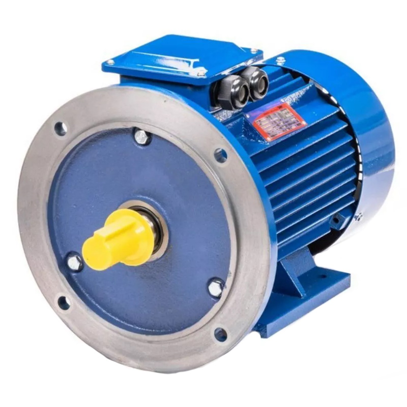 Электродвигатель 5АИ 100 L2 IM 2081 5.5/3000 01.01.213678 Китай