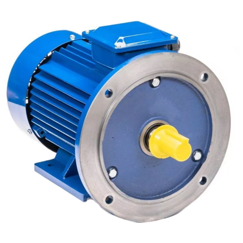 Электродвигатель 5АИ 100 L2 IM 2081 5.5/3000 01.01.213678 Китай