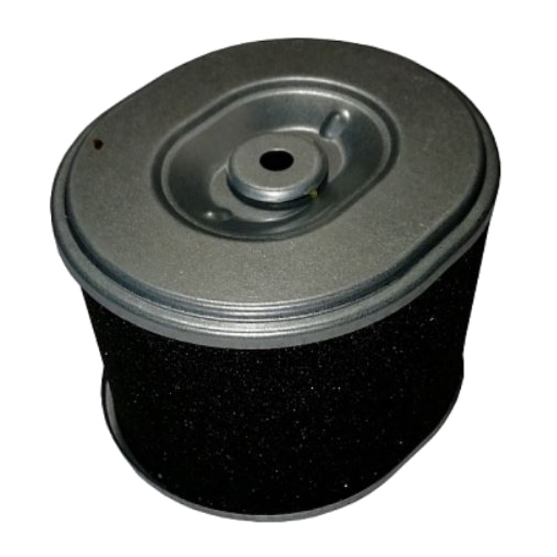 Фильтр воздушный (элемент) ТСС G270F/Air filter (element) 180100038-0001, 037955 в Твери