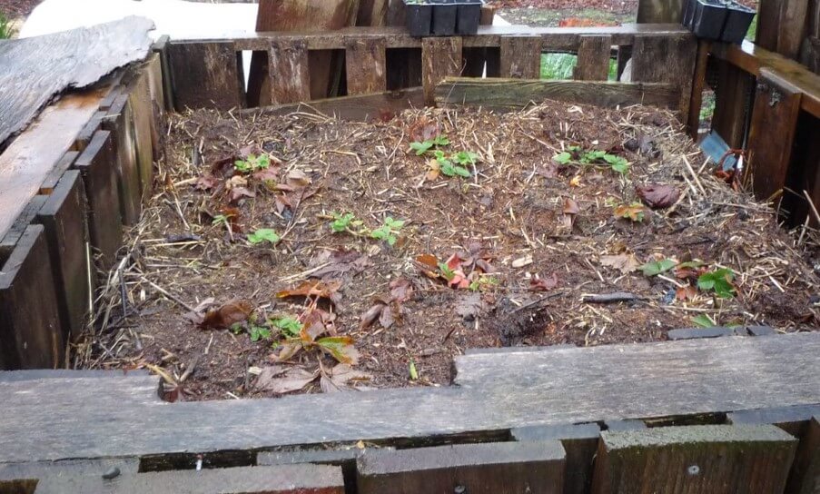 Деревянная компостница Деревянная компостница