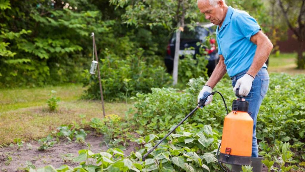 Какой садовый опрыскиватель лучший?