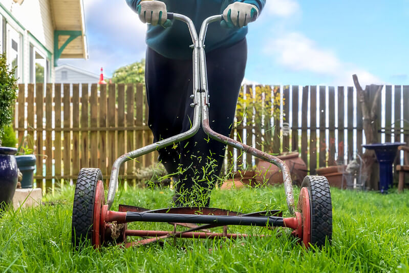 Механическая газонокосилка Механическая газонокосилка
