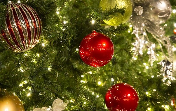 Рейтинг искусственных елок