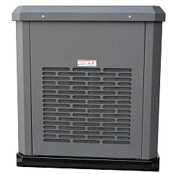 Генератор газовый EVOline GNG 19000 E GNG19000E