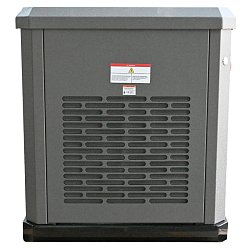 Генератор газовый EVOline GNG 19000 E GNG19000E