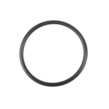 Изображение товара Piusi уплотнительное кольцо 4450 R18220000 d113 90x3 53 для бензина