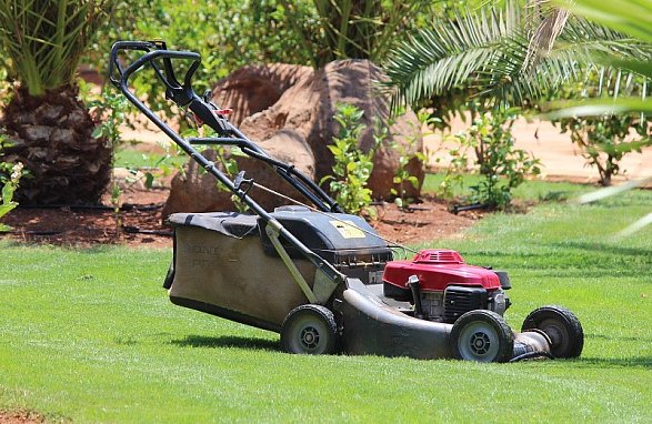 Какая газонокосилка лучше – самоходная или несамоходная