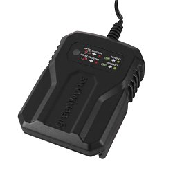 Дрель-шуруповерт аккумуляторная Greenworks 3704007UA, 24В, в комплекте с АКБ 24В 2Ач и ЗУ