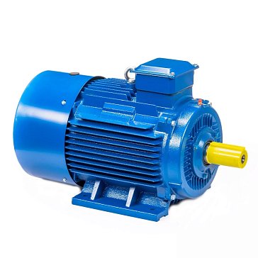 Изображение товара Электродвигатель 5АИ 200 М4 IM 1001 37/1500 01.01.213503, мощный промышленный мотор для тяжелых усл