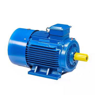 Изображение товара Электродвигатель 5АИ 250 S2 IM 1001 76/3000 01.01.220399, Китай