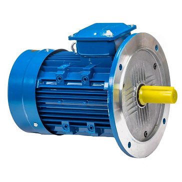 Изображение товара Электродвигатель 5АИ 100 S2 IM 3081 4/3000 для промышленного оборудования
