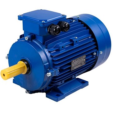 Изображение товара Электродвигатель А 112 МА6 IM1081 3 кВт IP55 для промышленного применения