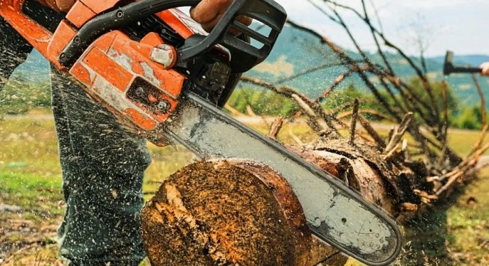 Топ-15 лучших бензопил 2026: какую выбрать  для дома, дачи и работы