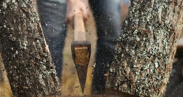 Лучшие инструменты для заготовки дров