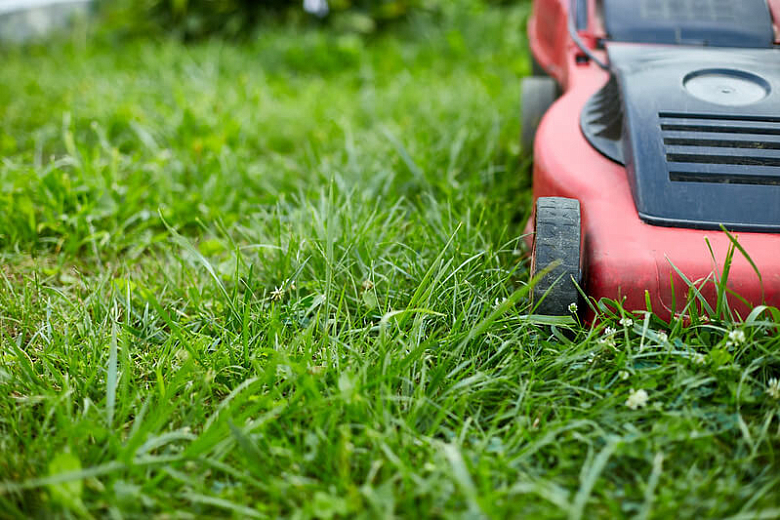 Как выбрать газонокосилку?