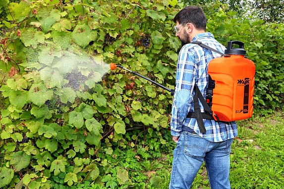 Рейтинг лучших аккумуляторных опрыскивателей