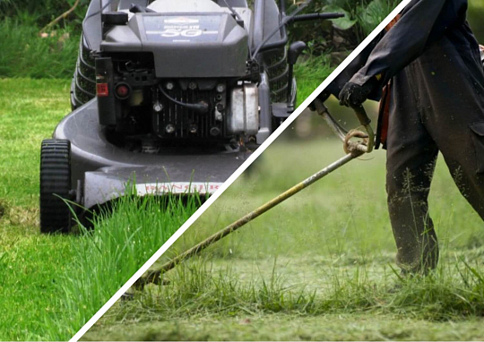 Что лучше: триммер или газонокосилка