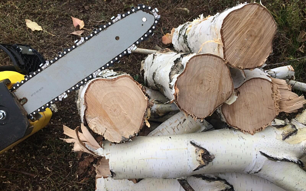 Ремонт неисправностей электропилы