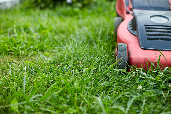 Как выбрать газонокосилку?