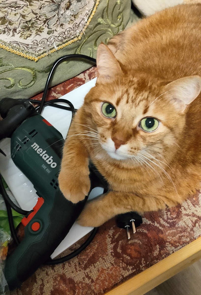 Ударная дрель Metabo SBE 650 600742850
