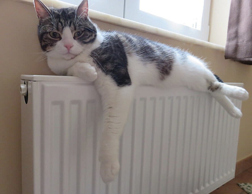 Какой радиатор лучше: алюминиевый или биметаллический?