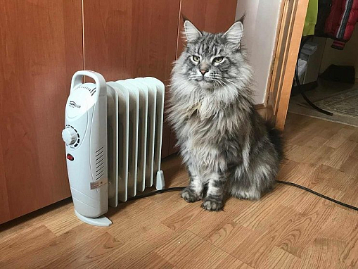 Рейтинг масляных обогревателей