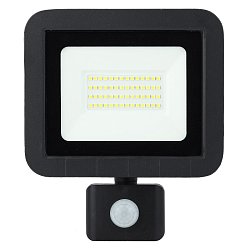 Прожектор светодиодный Эра LPR-041-2-65K-050 с датчиком движения Б0043587